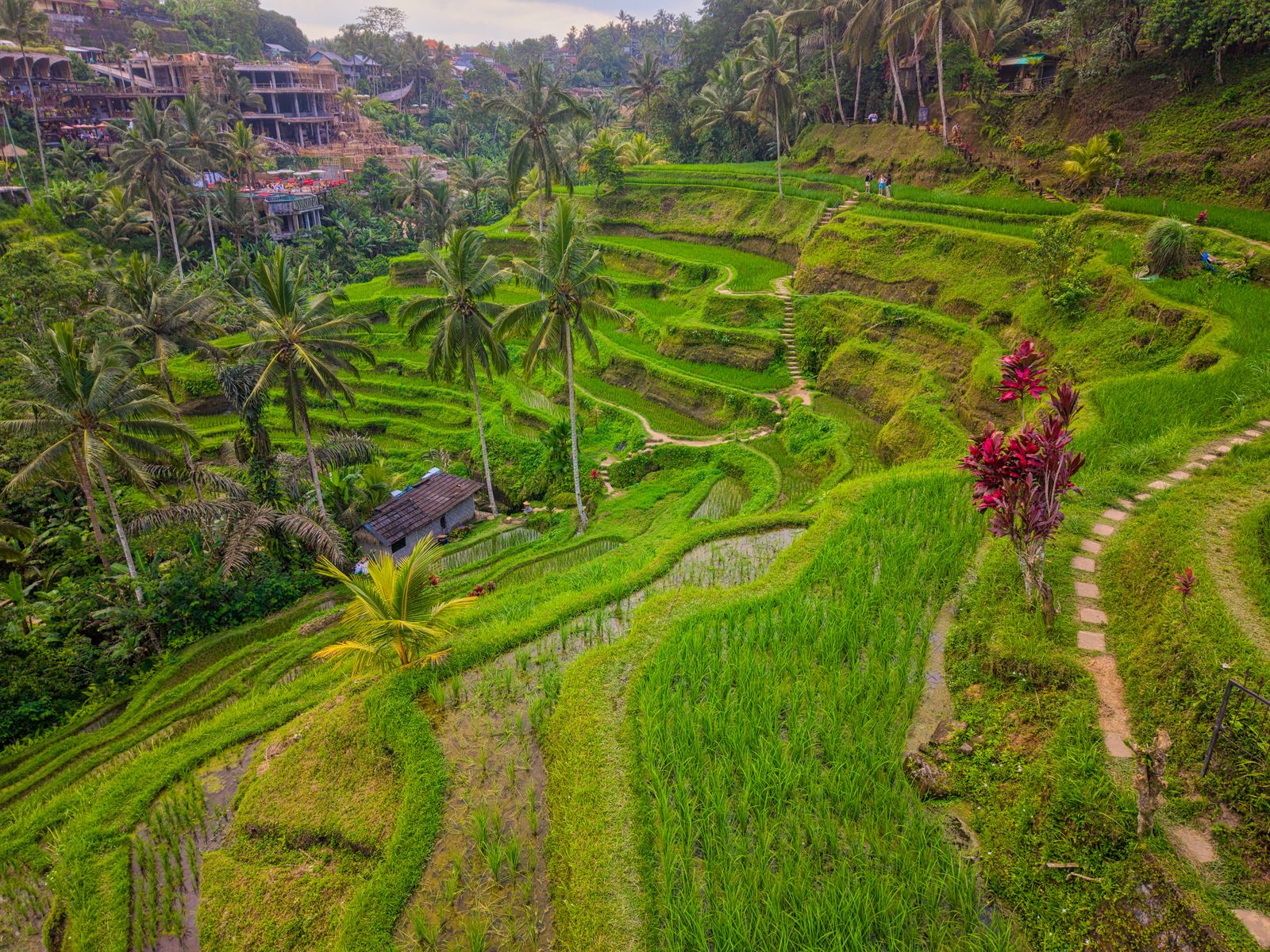 Canggu