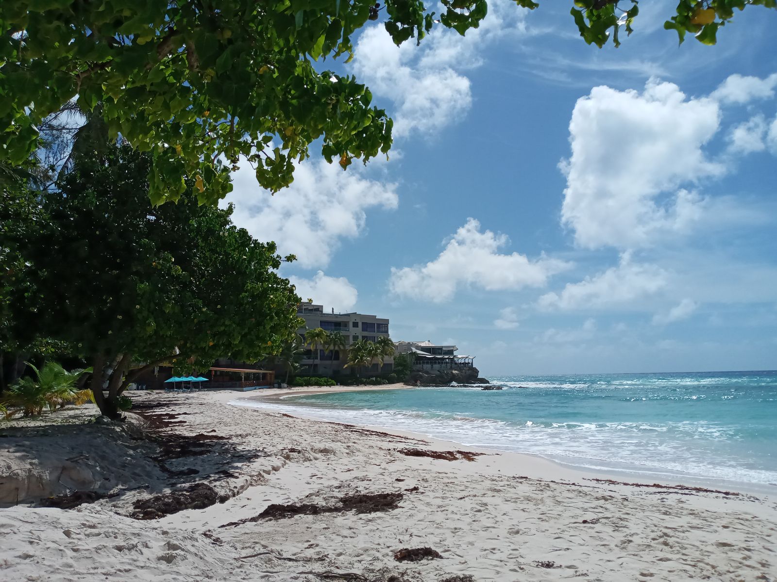 Crane Beach