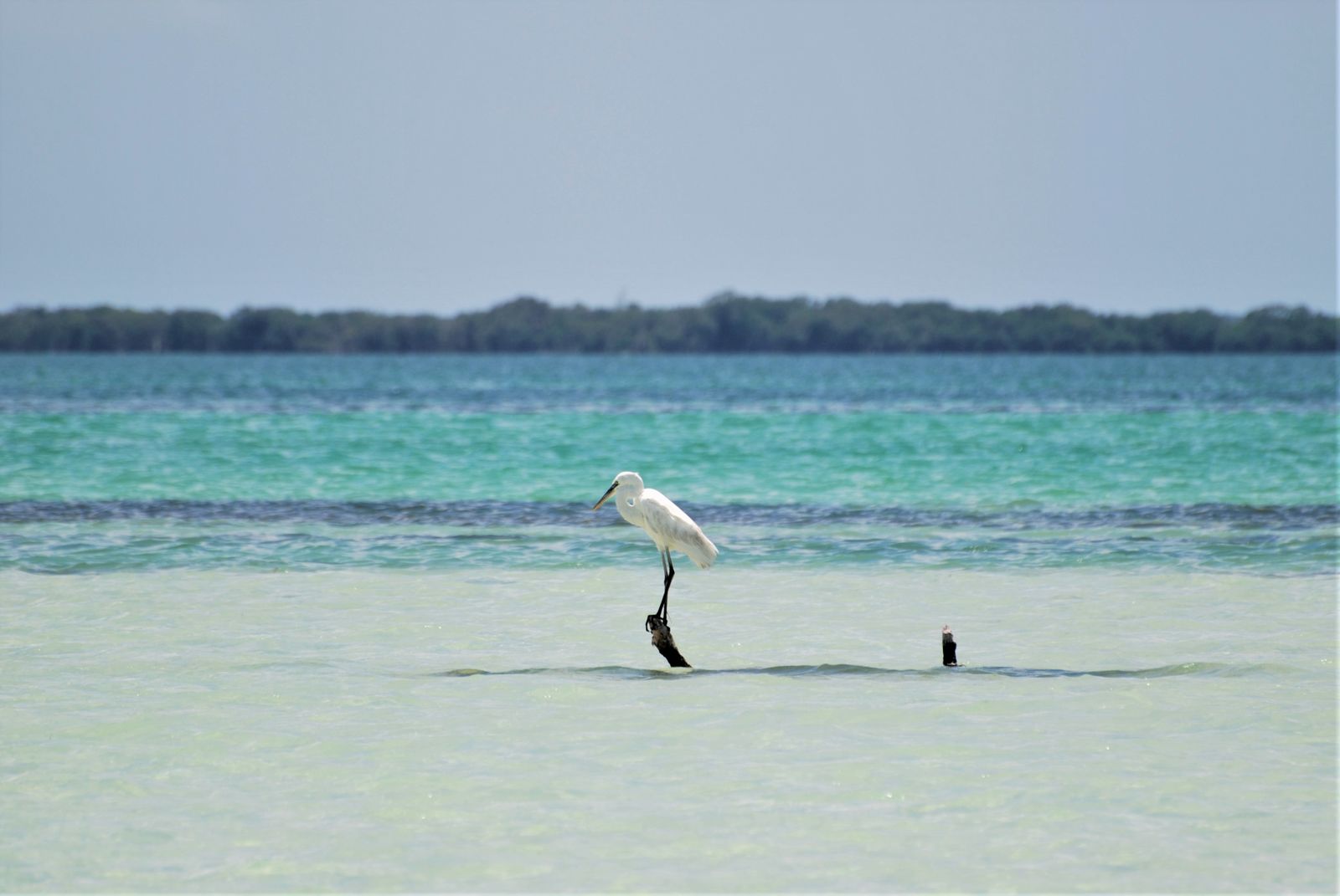 Holbox Island