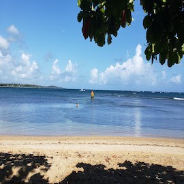 The Ultimate Guide to a Family Day in Dorado, Puerto Rico