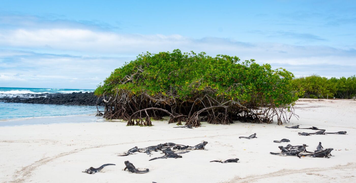 What’s Included in a Galapagos Villa Stay?