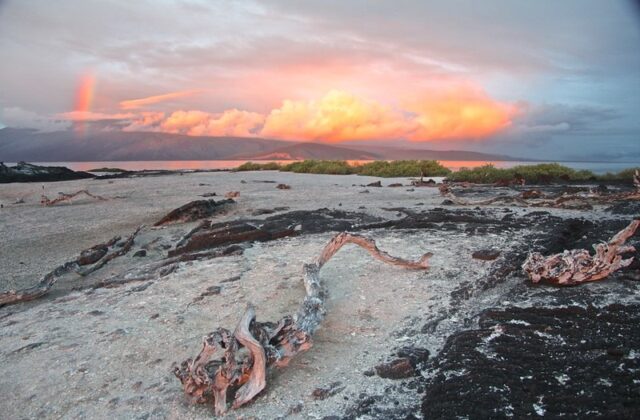 Eastern vs. Western Galápagos Itineraries: How to Actually Choose