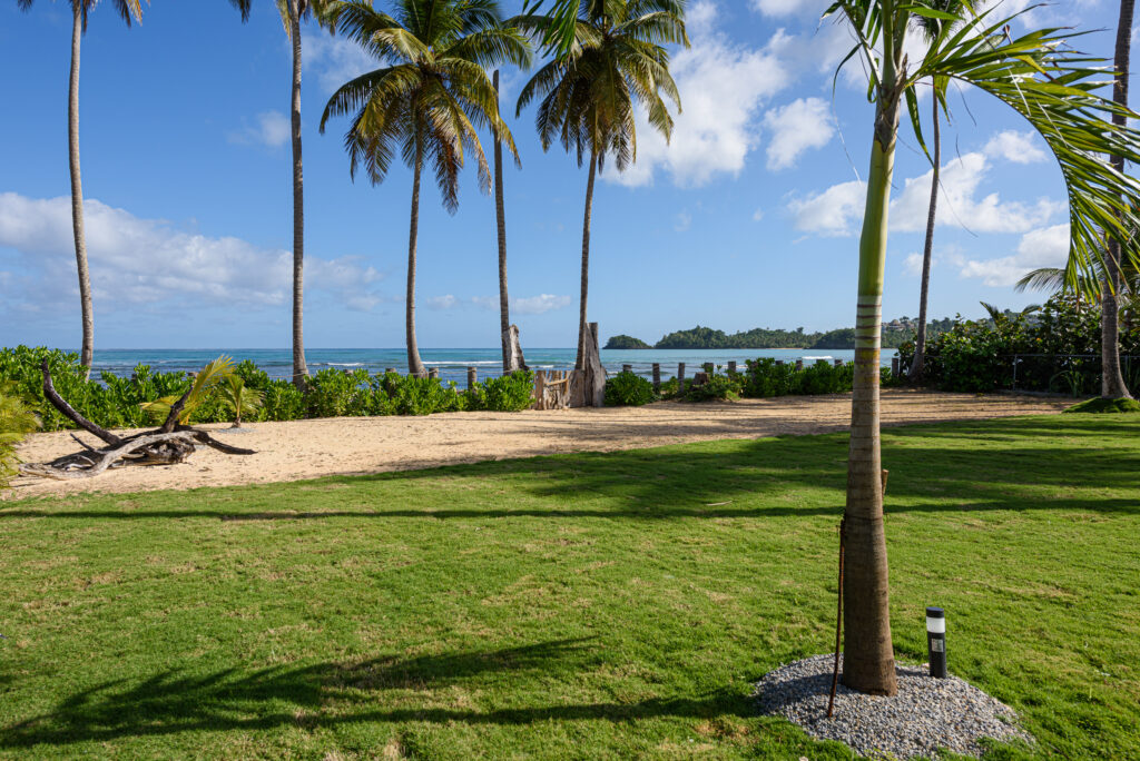 Lawn and palm path from Villa Valentina onto Playa Bonita, Cap Bonita, Las Terrenas
